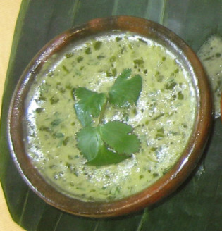 avocado cilantro sauce Amalia Moreno-Damgaard chef